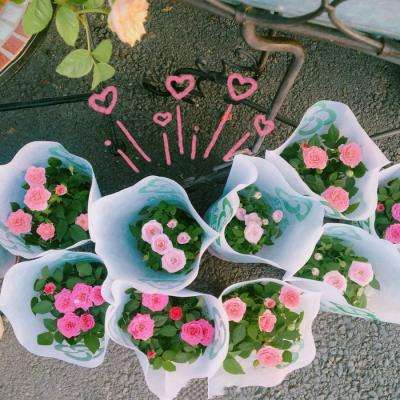 博鱼官方体育登录入口